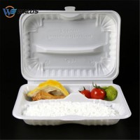 Custom Logo Disposable PP Pet PVC Plastic Rectangular Food Box with Cover