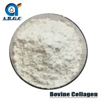 Bovine Collagen Hydrolyzed Collagen Peptide Hydrolysate Powder and Bovine Collagen Powder CAS 9064-6