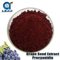 Factory Supply Grape Seed Extract 95% OPC Procyanidine CAS No: 84929-27-1