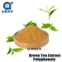 Organic Green Tea Extract Polyphenols 30%-98% for Powerful Antioxidant