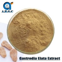 High Quality Gastrodia Elata Extract 10: 1 Powder