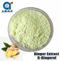 Ginger Extract Powder (water soluble) /High Quality Ginger Extract 6-Gingerol/Natural Gingerols 10%