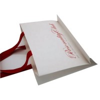 Custom Recycleable Paper Shopping Bag Wirh Ribbon Handle