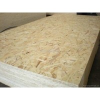 Hot Sale OSB Manufacturer From Shandong China