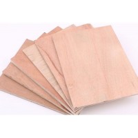 18mm Hot Sale Commercial Plywood