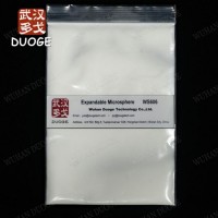 Top Quality Foaming Agent Blowing Agent Expansion Microspheres Advancell Ws606 for PVC EVA TPU with