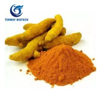 High Purity 98% Curcumin Turmeric Extract Powder as Food Coloring