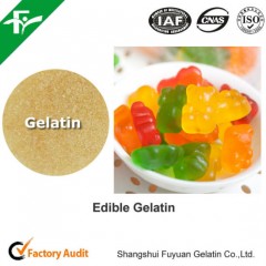 High Quality Edible Gelatin for Candy图1