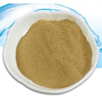 Feed Grade Probiotics Feed Additives Bacillus Licheniformis Powder Made in China with Good Quality a