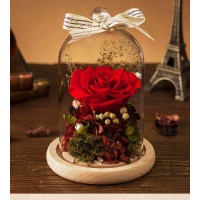 Wholesale Preserved Fresh Dried Red Flowers Roses in Dome