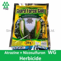 Herbicide Pesticide Atrazine 75% + Nicosulfuron 4% Wg/Wdg