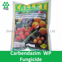 Fungicide Pesticide Carbendazim 50% Wp