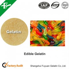 Food Grade Gelatin Used for Gummy Candies图1