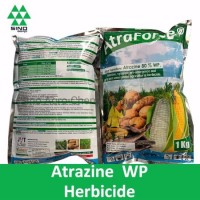 Atrazine of Herbicide Pesticide (48% WP  80%WP)