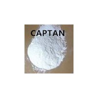 Best Price Fungicide Factory Captan Tc Supplier