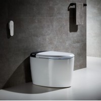 2020 Household Automatic Sensor Intelligent Toilet Sanitary Ware