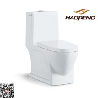 Sanitary Ware Bathroom Ceramic Washdown One Piece Toilet