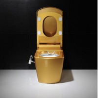 Fashion Electric Gold Bathroom Ceramic One-Piece Toilet with Two Nozzle