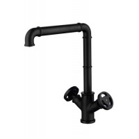 Kitchen Faucet with Swivel Spout