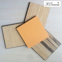 Decorative Interior Use High Pressure Compact Laminate HPL Panel