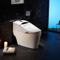 Advanced One Piece Electric Wc Intelligent Bidet Toilet Sanitary Ware