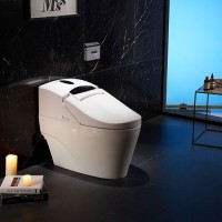 Us Standard 110V Smart Bidet Wc Electric Bathroom Toilet