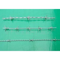 Hot Dipped Galvanized/Electro Galvanized Barbed Wire for Security Fence