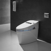 Modern Design Water-Saving Intelligent Bidet Bathroom Toilet