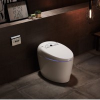 Promotion Closestool Automatic Open-Close Wc Electronic Intelligent Toilet