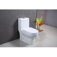 Modern Design Floor Mounted Bathroom Sanitary Ware Toilet with Bidet Function