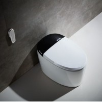 Hygienic Anti-Bacteria Electronic Bidet Automatic Smart Toilet Closestool