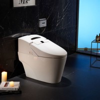 Muslim Hot&Cold Water Cleansing Electronic Bidet Toilet Sanitary Ware