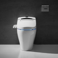 Factory Supply Bathroom Warm Water Washing Wc Intelligent Toilet