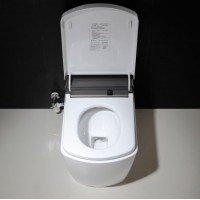 Smart Bidet Water Closet Electronic Intelligent Toilet All in One Piece