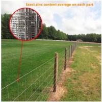 Galvanized Horse Sheep Cattle Field Fencing Livestock Wire Grassland Fence/Farm Fence