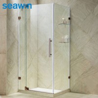 Pivot Rectangular Bathroom Frameless Glass Shower Enclosure