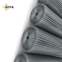 1/2" PVC Coated Welded Wire Mesh