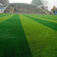 High Quality Cheap Price Artificial Grass for Football Field