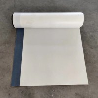 Non-Asphalt HDPE Pre-Applied Waterproofing Membrane for Basement