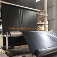 100% Virgin HDPE Geomembrane for Mining /Landfill /Fish Pond