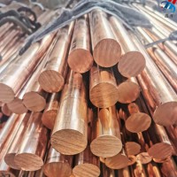 International Standard Pure Copper Rod Copper Bar at Factory′ S Price