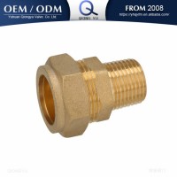 Brass Tube Fitting Pipe Compression Fitting Male Thread Coupling Connector