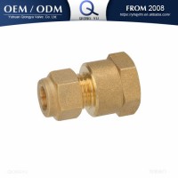 Plumbing Brass Tube Fitting Compression Fitting Female Thread Coupling Connector