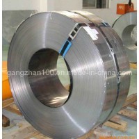 High Quality and Competitive Price Stainless Steel Coils