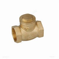 High Quality and Low Price Custom OEM ODM Brass Swing Check Valve