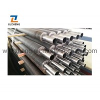 Carbon Steel or Stainless Steel Hfw Welded Fin Tube for Hothouse  Fin Tube Exchanger  Finned Aluminu