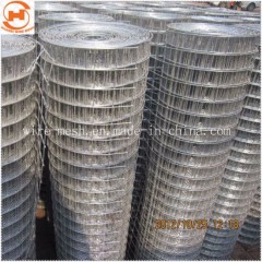 Stainless Steel/Galvanized Welded Wire Fencing Mesh图1