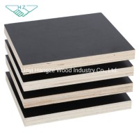 Building Construction Use 18mm Black Film Facedplywood