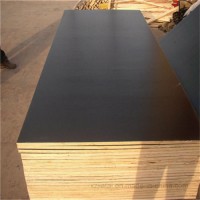 18mm film faced plywood for construction