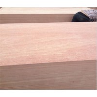 3-30mm Bintangor Plywood Commercial Plywood